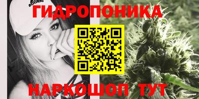 ПСИЛОЦИБИНОВЫЕ ГРИБЫ Пушкино