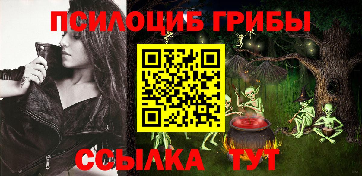 Самара  Галлюциногенные грибы Psilocybine cubensis  Вход с VPN 